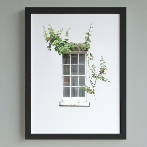 Window With Ivy A4 Print